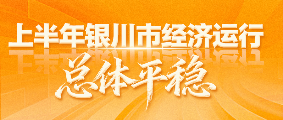 图解|上半年银川市经济运行总体平稳