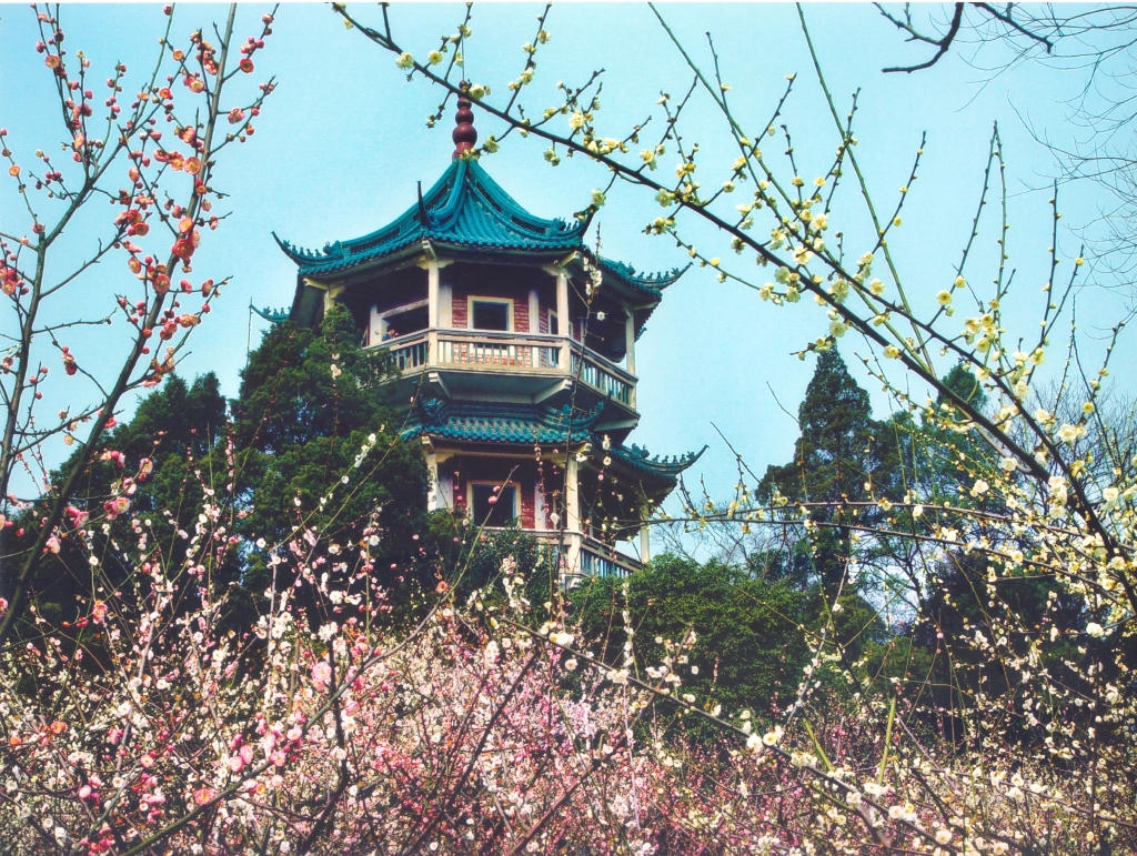 梅园横山风景区