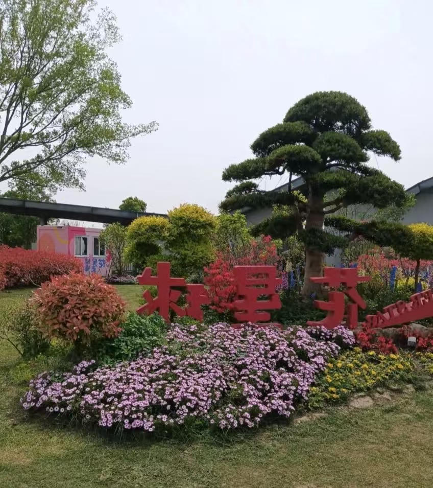 九龙湾花星球