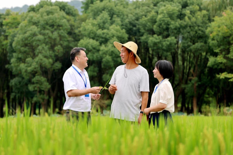 中文博彩平台